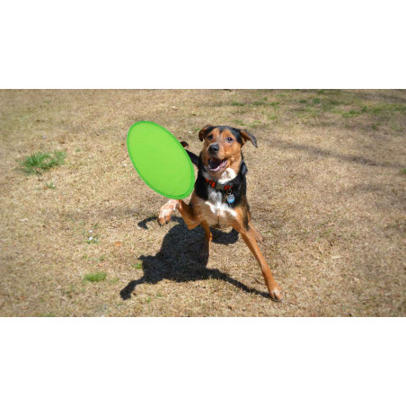 Frisbee de tecido